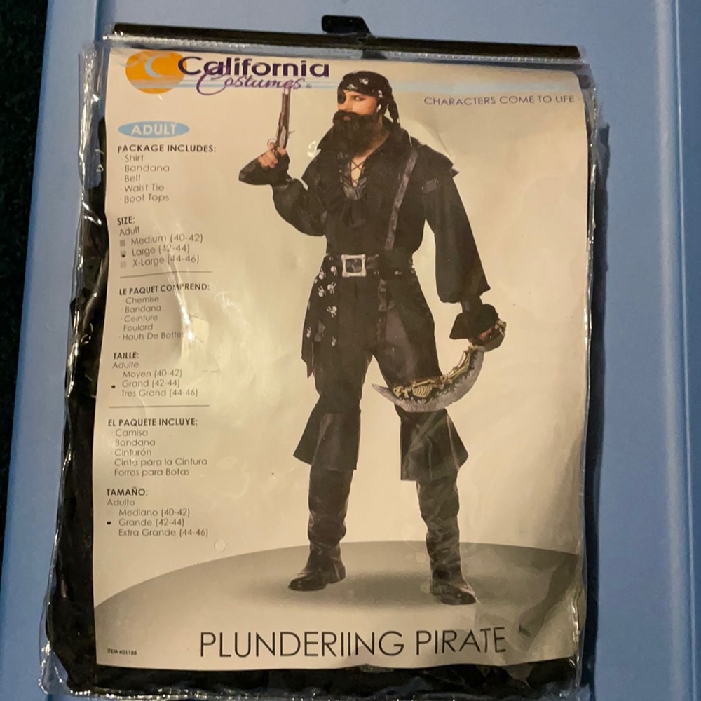 Plundering Pirate Halloween costume